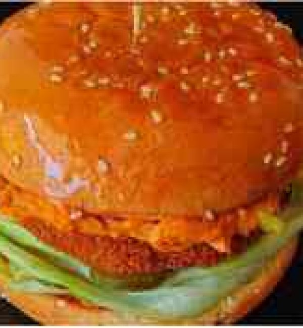 Crispy Chicken Burger with Tandoori Coleslaw